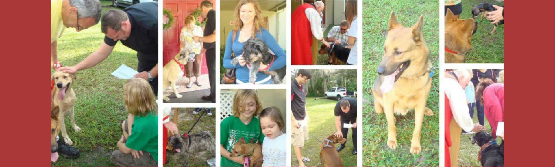 Blessing of the Animals